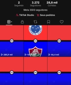 Tiktok HelpQuiz 3278 Seguidores