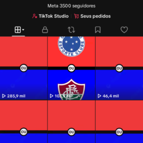 Tiktok HelpQuiz 3278 Seguidores
