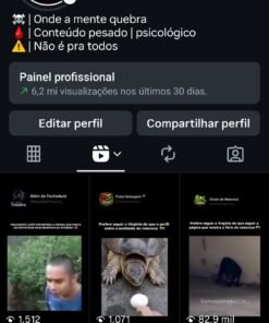 Página com ótimo engajamento, mais de 6 mi de views no reels +15 mil seguidores de forma orgânica