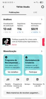 Tiktok monetizado nos EUA 10.1K Seguidores - Imagem 2