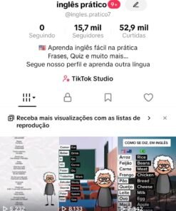Perfil Tiktok - Inglês 13.2K Seguidores
