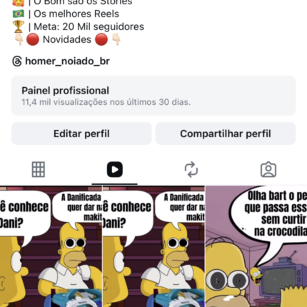 Página Instagram