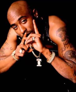 Canal Youtube criado em 2011, possui 238 inscritos e possui 9.505 visualizações.