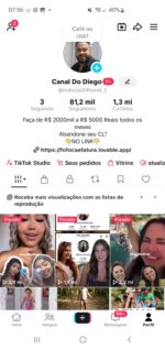 CONTA COM 81 MIL SEGUIDORES