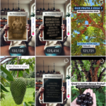 Insta Motivacional 22 milhões alcance, 130 mil stories, com quase 1 M de membros