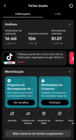 Conta ALEMÃ Monetizada no Tiktok com 13K de Seguidores e +19k de curtidas! - Imagem 2