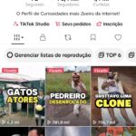 imperdível! Tik Tok de CURIOSIDADES 78K+ MONETIZADO (SUPER DESCONTO)