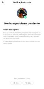 imperdível! Tik Tok de CURIOSIDADES 78K+ MONETIZADO (SUPER DESCONTO) - Imagem 2