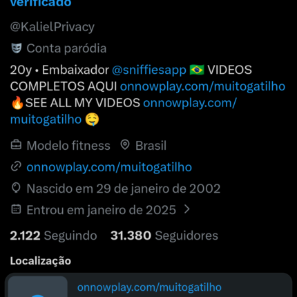🐦🔥 Conta X (Twitter) com +31 Mil Seguidores | Milhões de Alcance 🚀 ADULTO