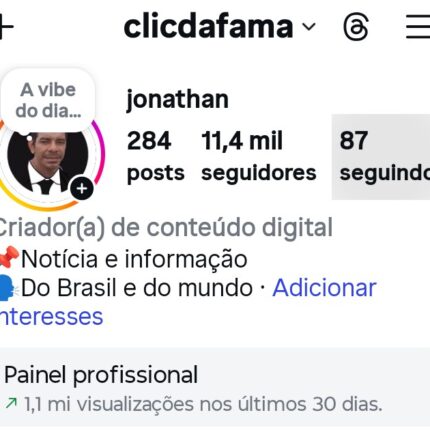 Instagram barato ninchado