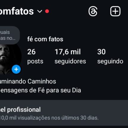 Instagram 17,6K seguidores reais