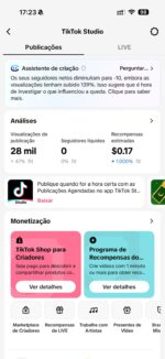Perfil 23K Monetizado – Nicho Poderoso e Pronto para Ganhar - Imagem 3