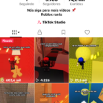 CONTA TIKTOK 3.900 SEGUIDORES