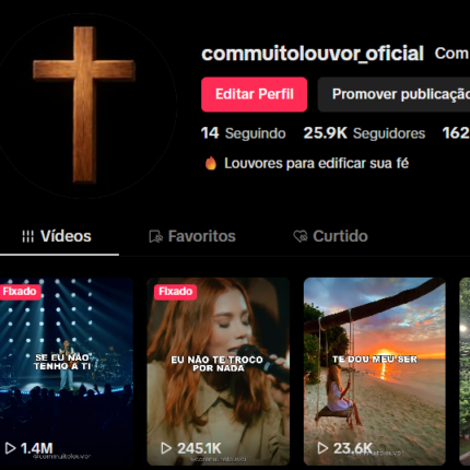 CONTA TIKTOK 25 MIL SEGUIDORES (MONETIZAÇÃO ATIVA)