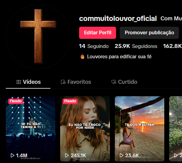 cropped-PRINT-HOJE-LOUVOR.png CONTA TIKTOK 25 MIL SEGUIDORES (MONETIZAÇÃO ATIVA) - Imagem 1