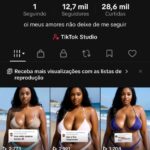Tiktok conta monetizada com 12 mil 700 seguidores e com mais de 28 mil e 700 curtidas e com tiktok shop ativo sem documento