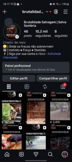 Conta com 10.2k de seguidores orgânicos