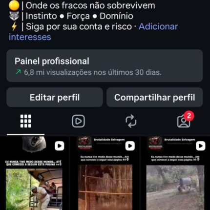 Conta com 10.2k de seguidores orgânicos