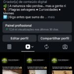 Página com 17.2k de seguidores orgânicos 97% br