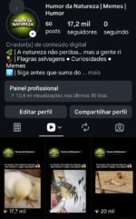 Página com 17.2k de seguidores orgânicos 97% br
