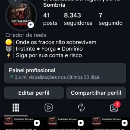 Instagram com 8k de seguidores 100% orgânicos