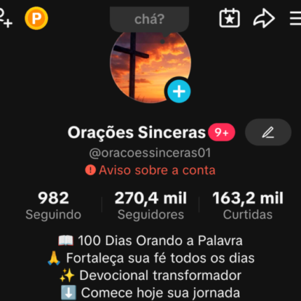 ???? Perfil TikTok à Venda ???? 270 MIL SEGUIDORES
