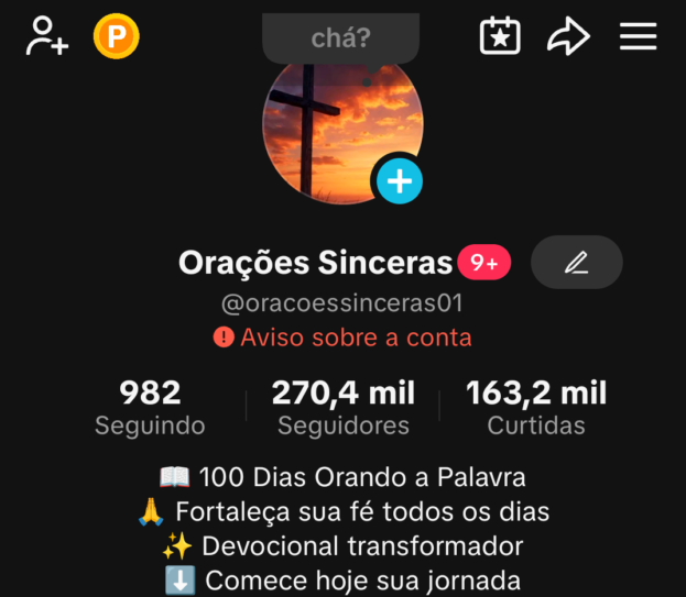 cropped-cropped-Screenshot_20260226-054345.png ???? Perfil TikTok à Venda ???? 270 MIL SEGUIDORES - Imagem 1