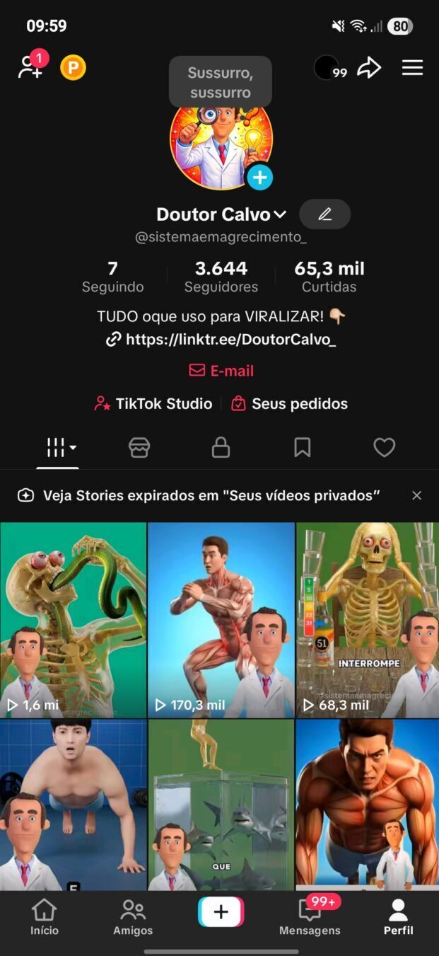 cropped-cropped-cropped-Screenshot_20260216_095904_TikTok.jpg Conta Tiktok com 3.633 seguidores reais e mais de 2 milhões de visualizações nos últimos 28 dias - Imagem 1