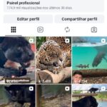 Conta Instagram seguidores reais ( BOA PARA DIVULGAÇÃO DE PRODUTOS ) 25K NO STOYS