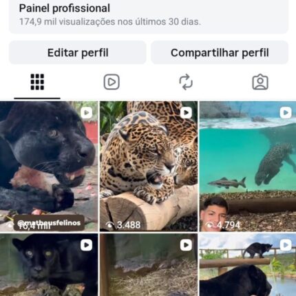 Conta Instagram seguidores reais ( BOA PARA DIVULGAÇÃO DE PRODUTOS ) 25K NO STOYS