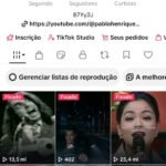 Conta TikTok com 1.1M de seguidores e com mais de 22.M de curtidas