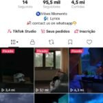 CONTA DO TIKTOK MONETIZADA +95K SEGUIDORES +4,5 MILHÕES CURTIDAS(R$ 36 DE SALDO)