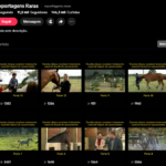 CONTA TIKTOK | 11.8K  SEG👥 | 146.3K  CURT❤️ | REPORTAGENS RARAS | PRONTO P/ MONETIZAR | POTENCIAL VIRAL 🚀