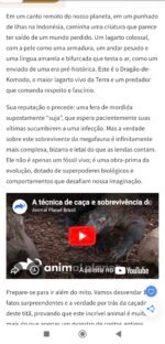 Vendo portal de variedades com DA 42 - Imagem 2