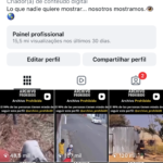 Insta Viral 329k saindo no precinho promocional só hoje, STORE médio 15k a 38k 💰 de 12.500 por apenas 3847