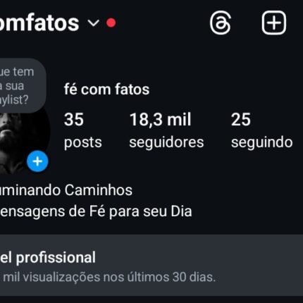 Instagram 18,3K seguidores reais