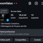 Instagram 18,4K seguidores reais