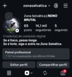 Página com 14.1k de seguidores orgânicos e 80%br
