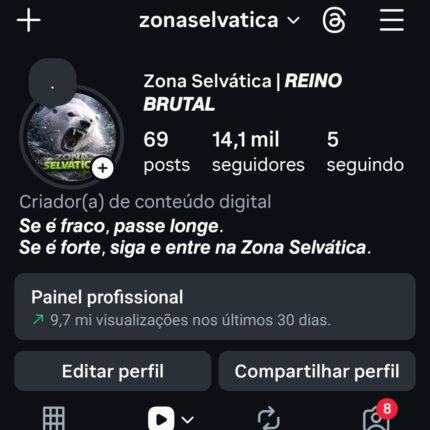 Página com 14.1k de seguidores orgânicos e 80%br