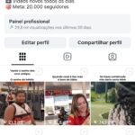 CONTA INSTAGRAM BEM ENGAJADA
