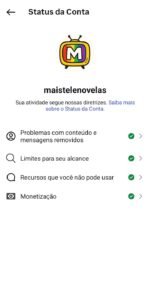 INSTAGRAM 📺 Nicho Famosos | +1.1 MILHÃO Views em 30 Dias 🔥 | Conta Pronta pra Escalar 🚀 - Imagem 3