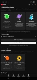 Canal YouTube Monetizado – 14,6K Inscritos | 7,4 Milhões de Views em 28 Dias | Nicho Curiosidades - Imagem 4