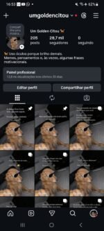 Conta Instagram impecável, 28,6k seguidores totalmente orgânicos.