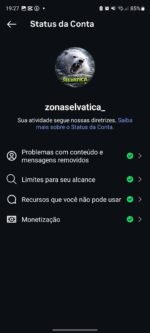 Conta com 18K de seguidores 100% autênticos e orgânicos - Imagem 3