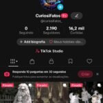 CONTA TIKTOK MUITO ENGAJADA (TIKTOK SHOP ATIVO SEM DOC) VENDER LOGO