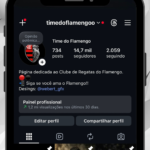 INSTAGRAM ENGAJADO DO FLAMENGO