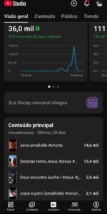[OPORTUNIDADE] Combo de Ativos Digitais: 2 Canais YouTube + Redes Sociais - Imagem 3