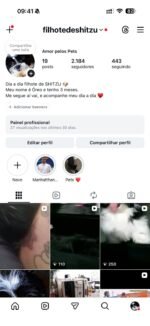 COMPRE AGORA: CONTA ANTIGA + MONETIZADA NO NICHO PET 🐶💰