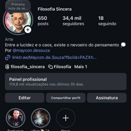 CONTA NO INSTAGRAM – 34.400 SEGUIDORES ORGÂNICOS