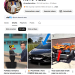 CANAL NICHO VIRAL AUTOMOTIVO (AUTO VIBES)
